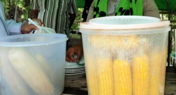 Tergoda Sensasi Komala dan Paramita
