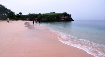 Pesona Pantai Pink Lombok
