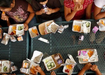 Program Makan Siang Gratis di Beberapa Negara