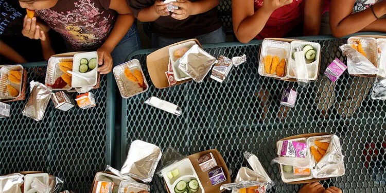 Program Makan Siang Gratis di Beberapa Negara