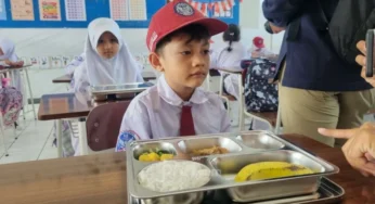 Reviu Pelaksanaan Program Makan Bergizi Gratis