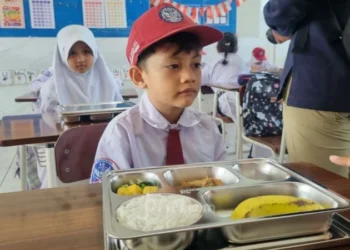 Reviu Pelaksanaan Program Makan Bergizi Gratis