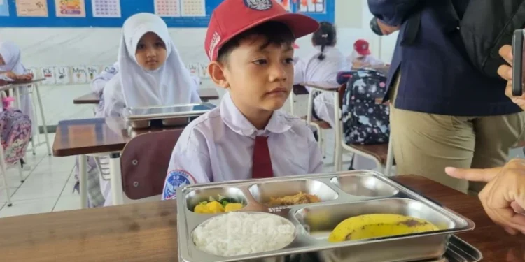 Reviu Pelaksanaan Program Makan Bergizi Gratis