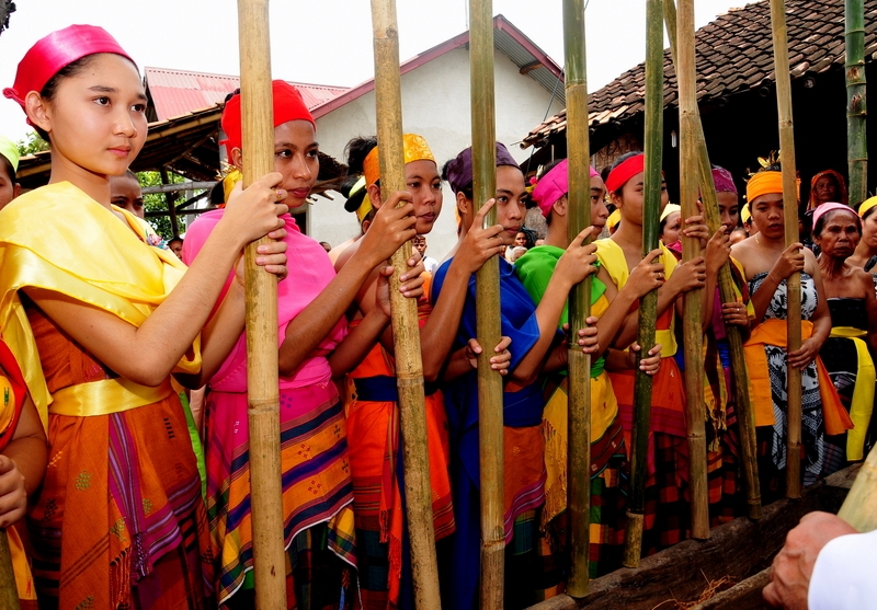 Menumbuk padi pada maulid adat (harjasaputra)